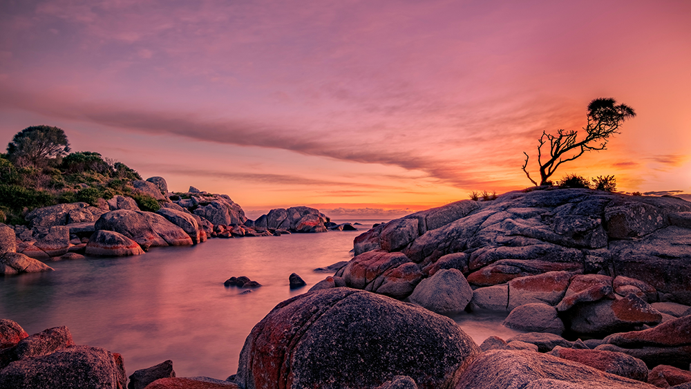 rocks at sunset in Tasmania