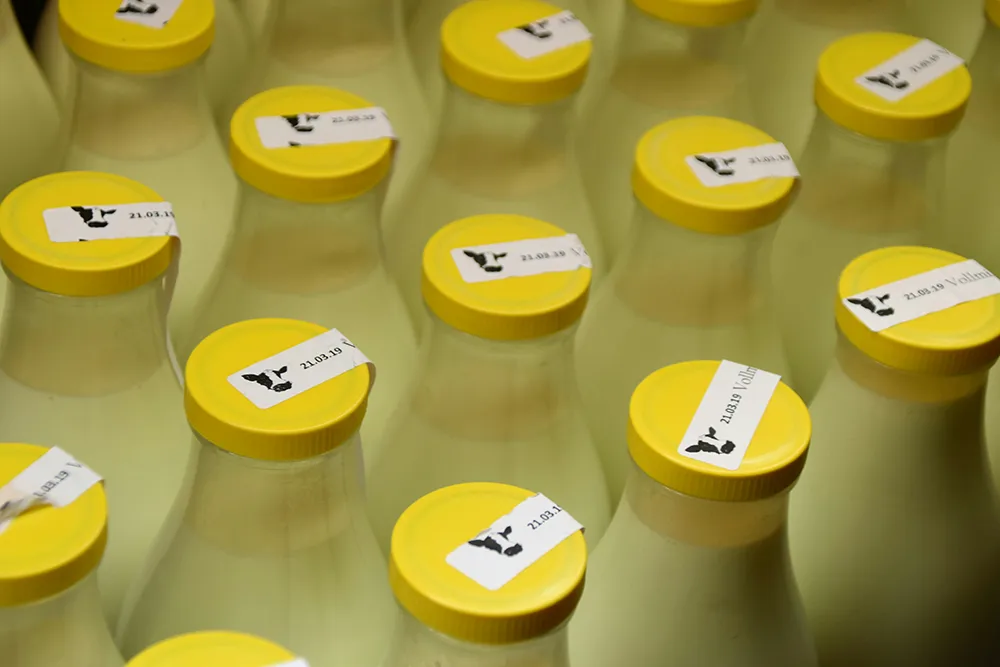 milk bottles from dairy farms for paddock to plate